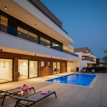 Old Olive V By Vivi Rent