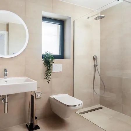 Old Olive V By Vivi Rent *