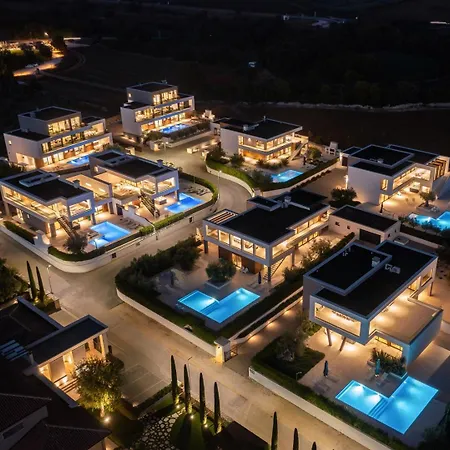 Old Olive V By Vivi Rent *