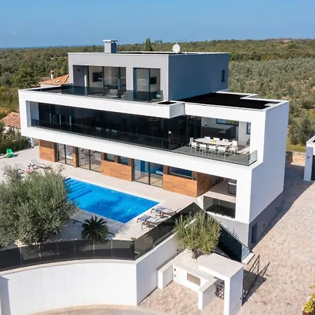 Old Olive V By Vivi Rent *