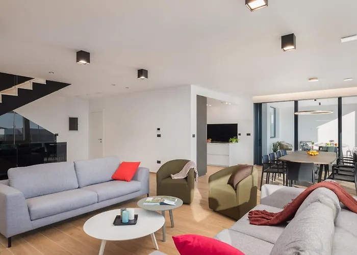 Old Olive V By Vivi Rent